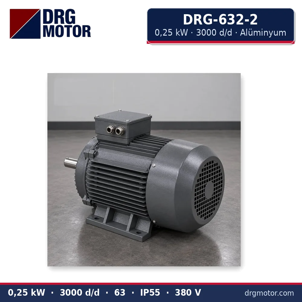 DRG-632-2 0,25 kW 3000 d/d alüminyum gövdeli trifaze elektrik motoru – DRG Motor
