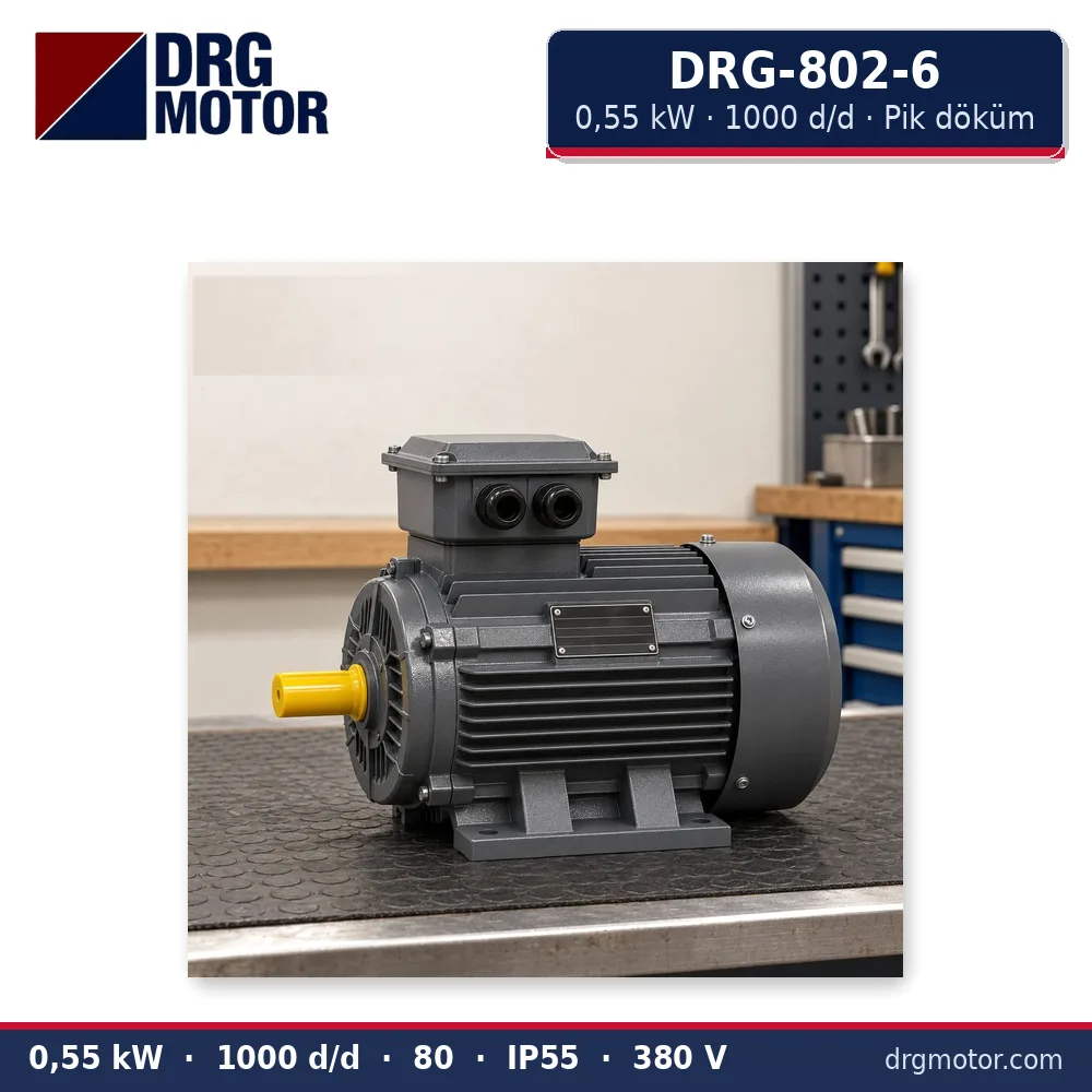 DRG-802-6 0,55 kW 1000 d/d pik döküm gövdeli trifaze elektrik motoru – DRG Motor