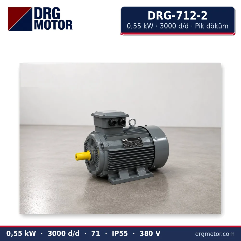 DRG-712-2 0,55 kW 3000 d/d pik döküm gövdeli trifaze elektrik motoru – DRG Motor