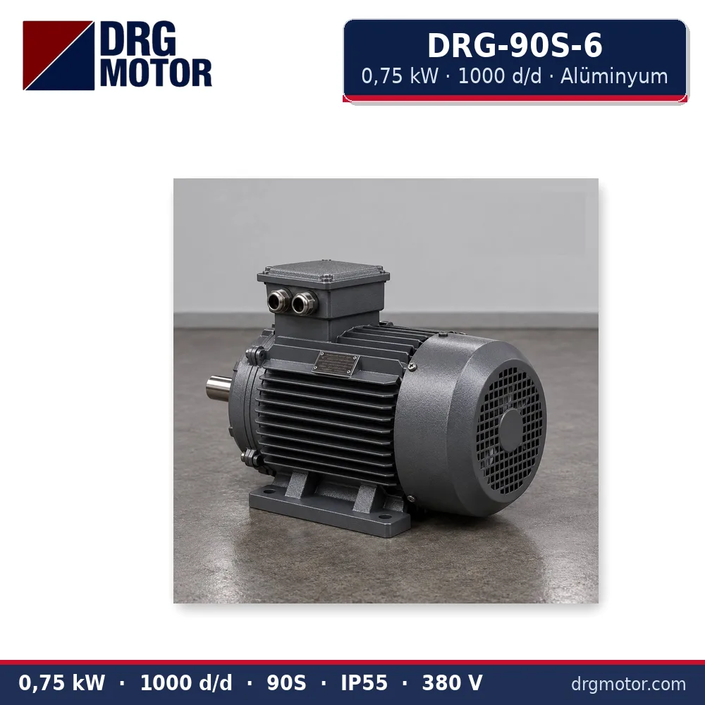DRG-90S-6 0,75 kW 1000 d/d alüminyum gövdeli trifaze elektrik motoru – DRG Motor