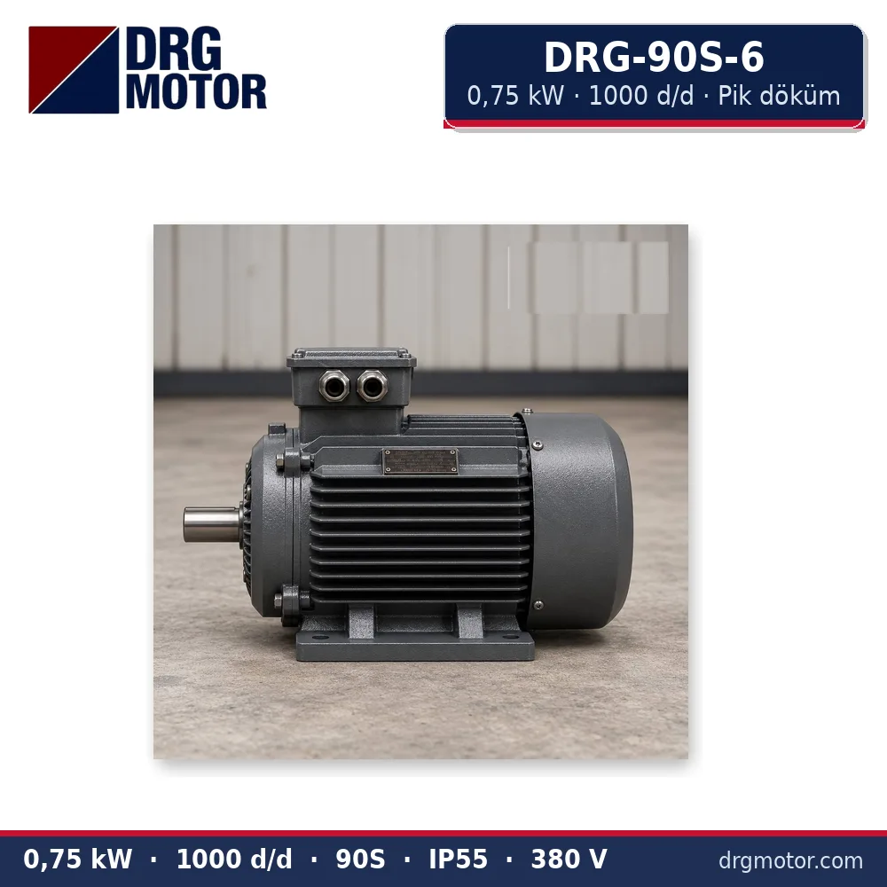 DRG-90S-6 0,75 kW 1000 d/d pik döküm gövdeli trifaze elektrik motoru – DRG Motor