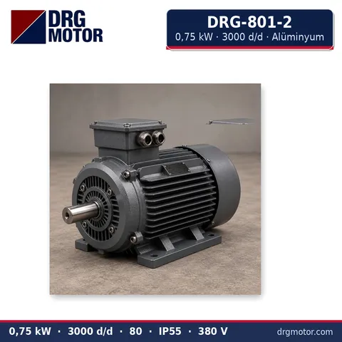 Moteur électrique triphasé DRG-801-2 0,75 kW 3000 tr/min carter aluminium – DRG Motor