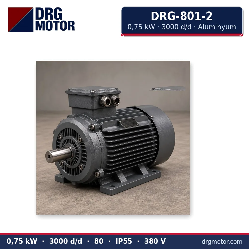 DRG-801-2 0,75 kW 3000 d/d alüminyum gövdeli trifaze elektrik motoru – DRG Motor