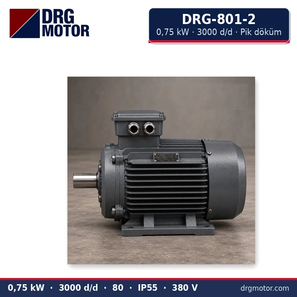 DRG-801-2 0,75 kW 3000 d/d pik döküm gövdeli trifaze elektrik motoru – DRG Motor