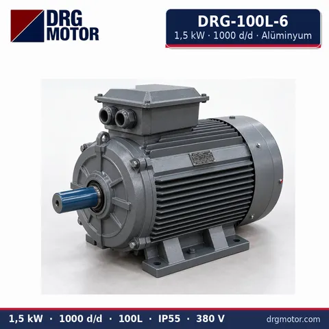 Moteur électrique triphasé DRG-100L-6 1,5 kW 1000 tr/min carter aluminium – DRG Motor