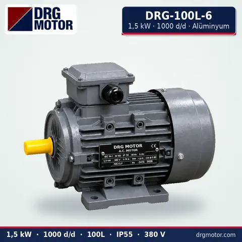 DRG-100L-6 1.5 kW 1000 rpm aluminium three-phase electric motor – DRG Motor