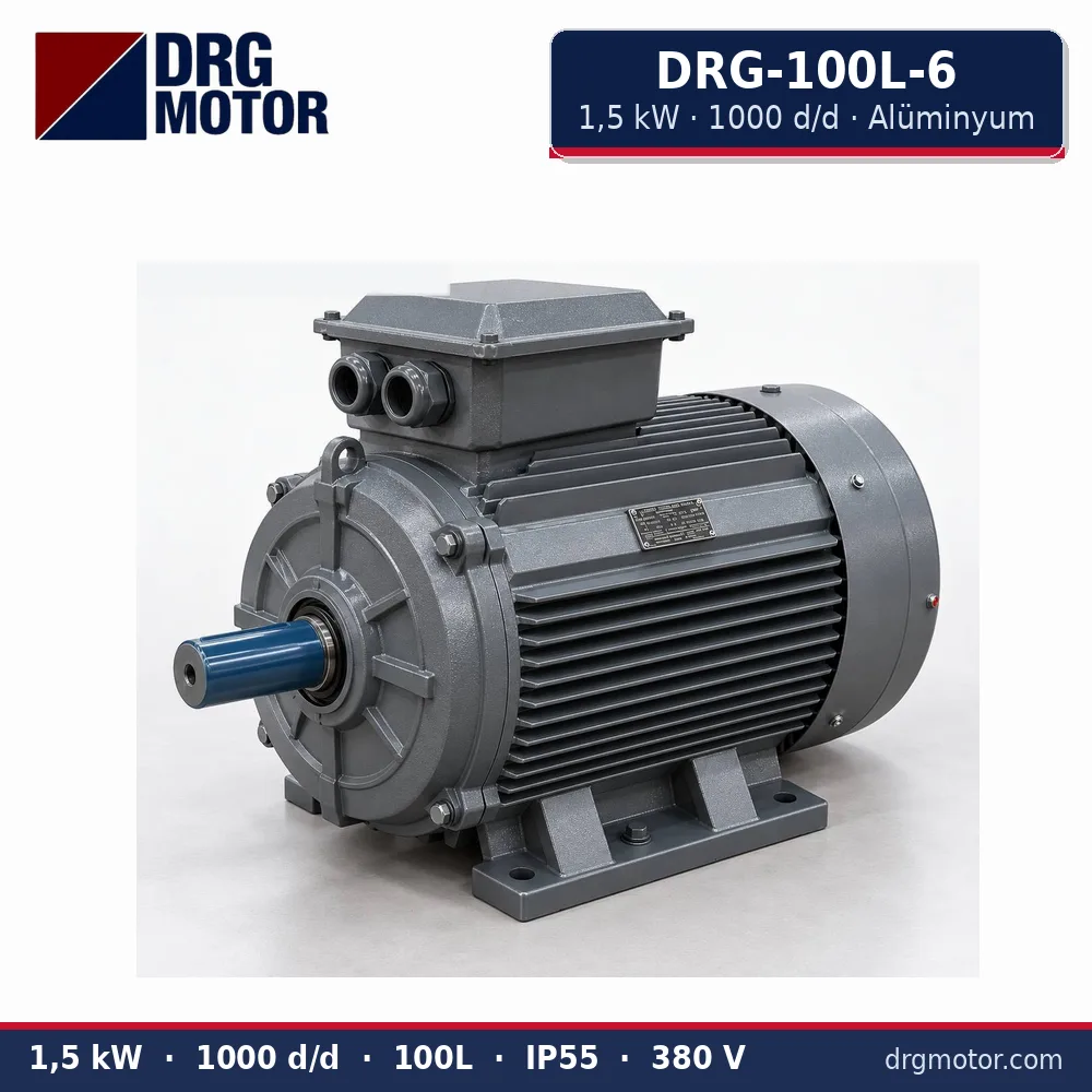 DRG-100L-6 1,5 kW 1000 d/d alüminyum gövdeli trifaze elektrik motoru – DRG Motor