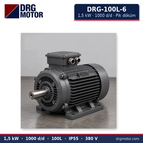 Moteur électrique triphasé DRG-100L-6 1,5 kW 1000 tr/min carter fonte – DRG Motor