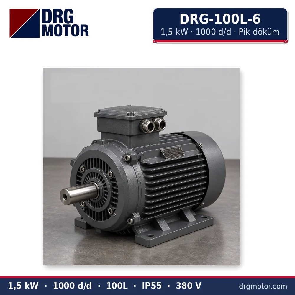 DRG-100L-6 1,5 kW 1000 d/d pik döküm gövdeli trifaze elektrik motoru – DRG Motor