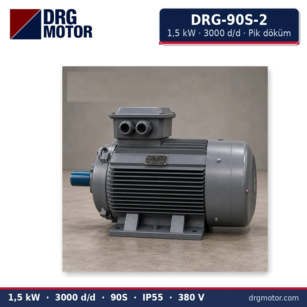 DRG-90S-2 1,5 kW 3000 d/d pik döküm gövdeli trifaze elektrik motoru – DRG Motor