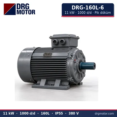 Moteur électrique triphasé DRG-160L-6 11 kW 1000 tr/min carter fonte – DRG Motor
