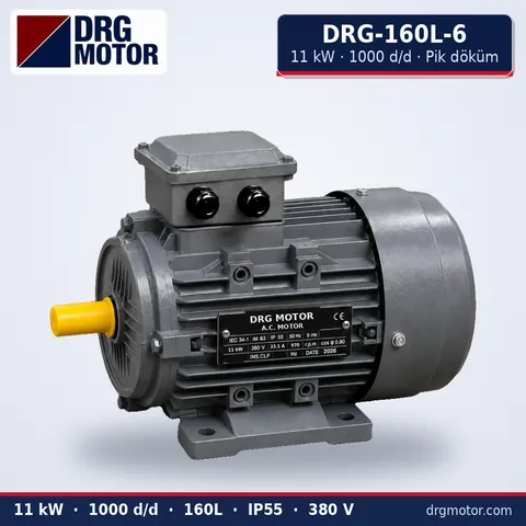 DRG-160L-6 11 kW 1000 d/d pik döküm gövdeli trifaze elektrik motoru – DRG Motor