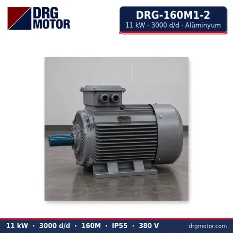 Moteur électrique triphasé DRG-160M1-2 11 kW 3000 tr/min carter aluminium – DRG Motor