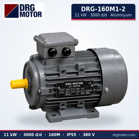 Moteur électrique triphasé DRG-160M1-2 11 kW 3000 tr/min carter aluminium – DRG Motor