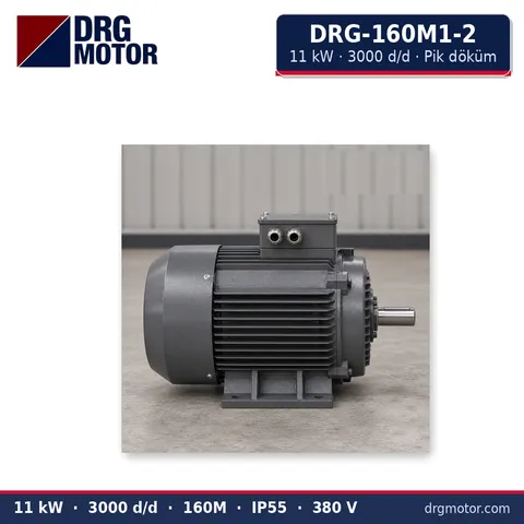 Moteur électrique triphasé DRG-160M1-2 11 kW 3000 tr/min carter fonte – DRG Motor