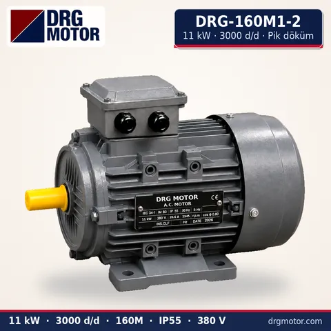 DRG-160M1-2 11 kW 3000 d/d pik döküm gövdeli trifaze elektrik motoru – DRG Motor