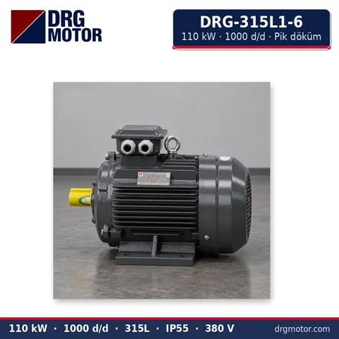 Moteur électrique triphasé DRG-315L1-6 110 kW 1000 tr/min carter fonte – DRG Motor