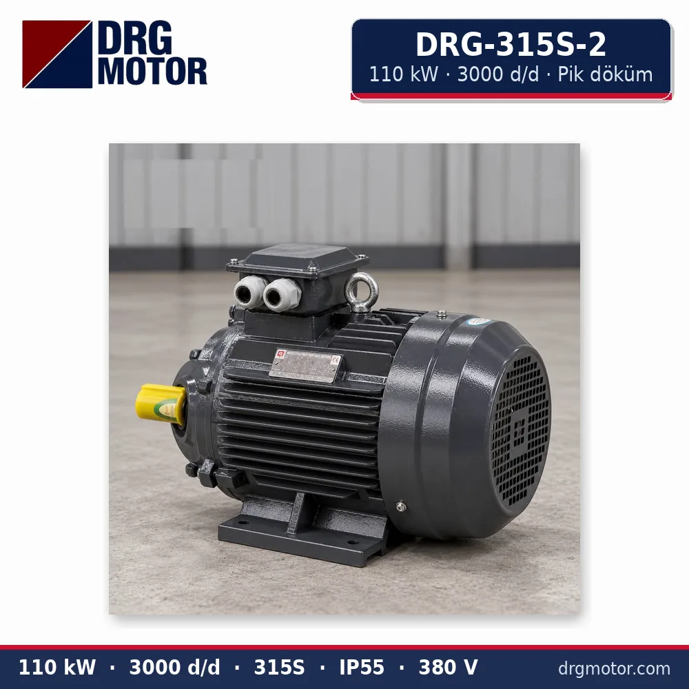 DRG-315S-2 110 kW 3000 d/d pik döküm gövdeli trifaze elektrik motoru – DRG Motor