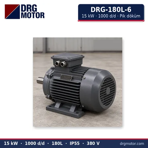 Moteur électrique triphasé DRG-180L-6 15 kW 1000 tr/min carter fonte – DRG Motor