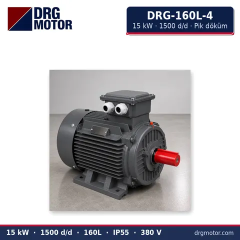 Moteur électrique triphasé DRG-160L-4 15 kW 1500 tr/min carter fonte – DRG Motor