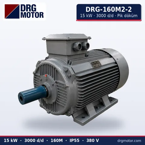 Moteur électrique triphasé DRG-160M2-2 15 kW 3000 tr/min carter fonte – DRG Motor