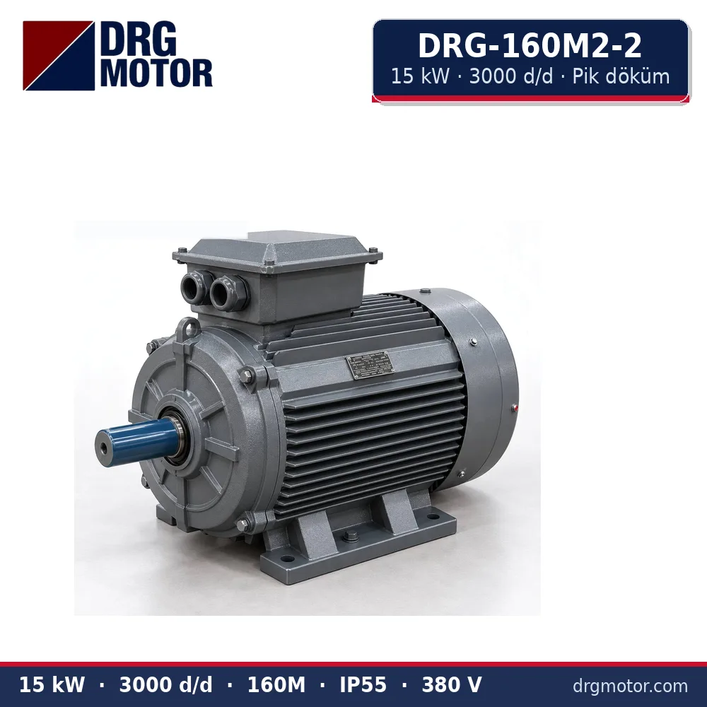 DRG-160M2-2 15 kW 3000 d/d pik döküm gövdeli trifaze elektrik motoru – DRG Motor