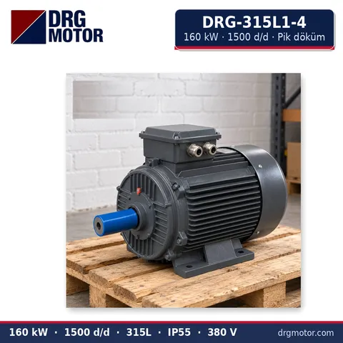 Moteur électrique triphasé DRG-315L1-4 160 kW 1500 tr/min carter fonte – DRG Motor