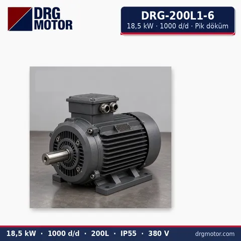 Moteur électrique triphasé DRG-200L1-6 18,5 kW 1000 tr/min carter fonte – DRG Motor