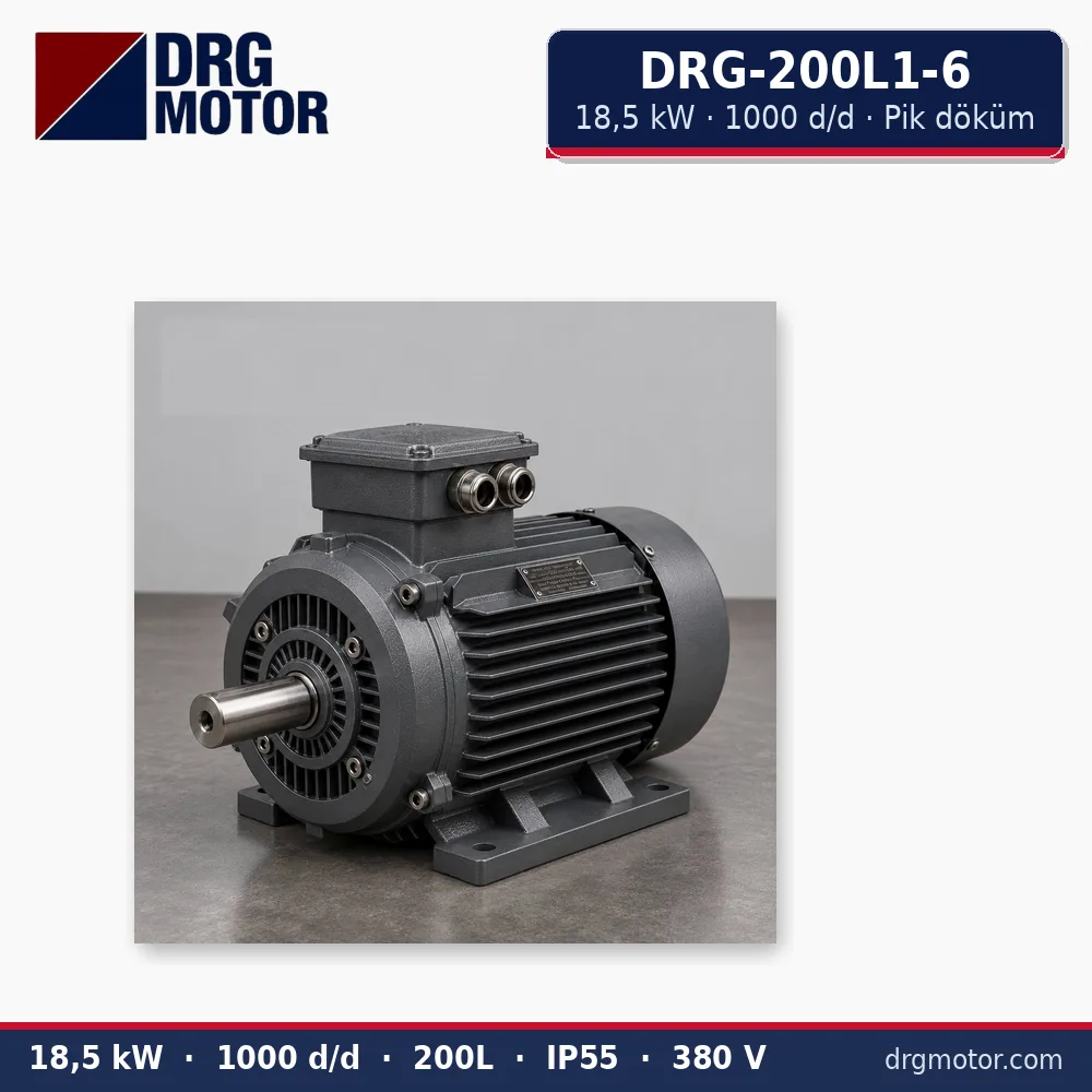 DRG-200L1-6 18,5 kW 1000 d/d pik döküm gövdeli trifaze elektrik motoru – DRG Motor