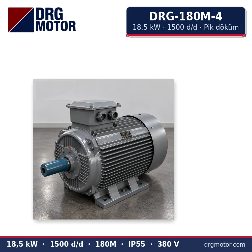 DRG-180M-4 18,5 kW 1500 d/d pik döküm gövdeli trifaze elektrik motoru – DRG Motor