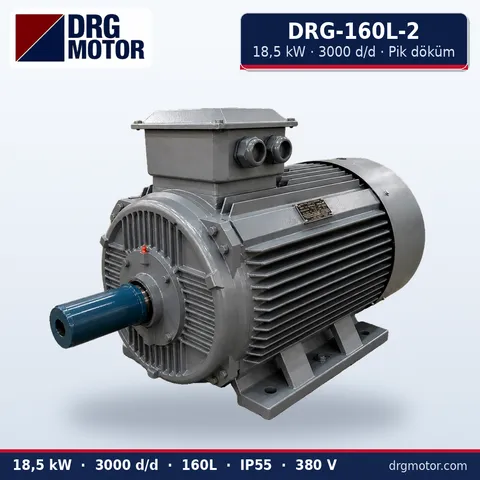 Moteur électrique triphasé DRG-160L-2 18,5 kW 3000 tr/min carter fonte – DRG Motor