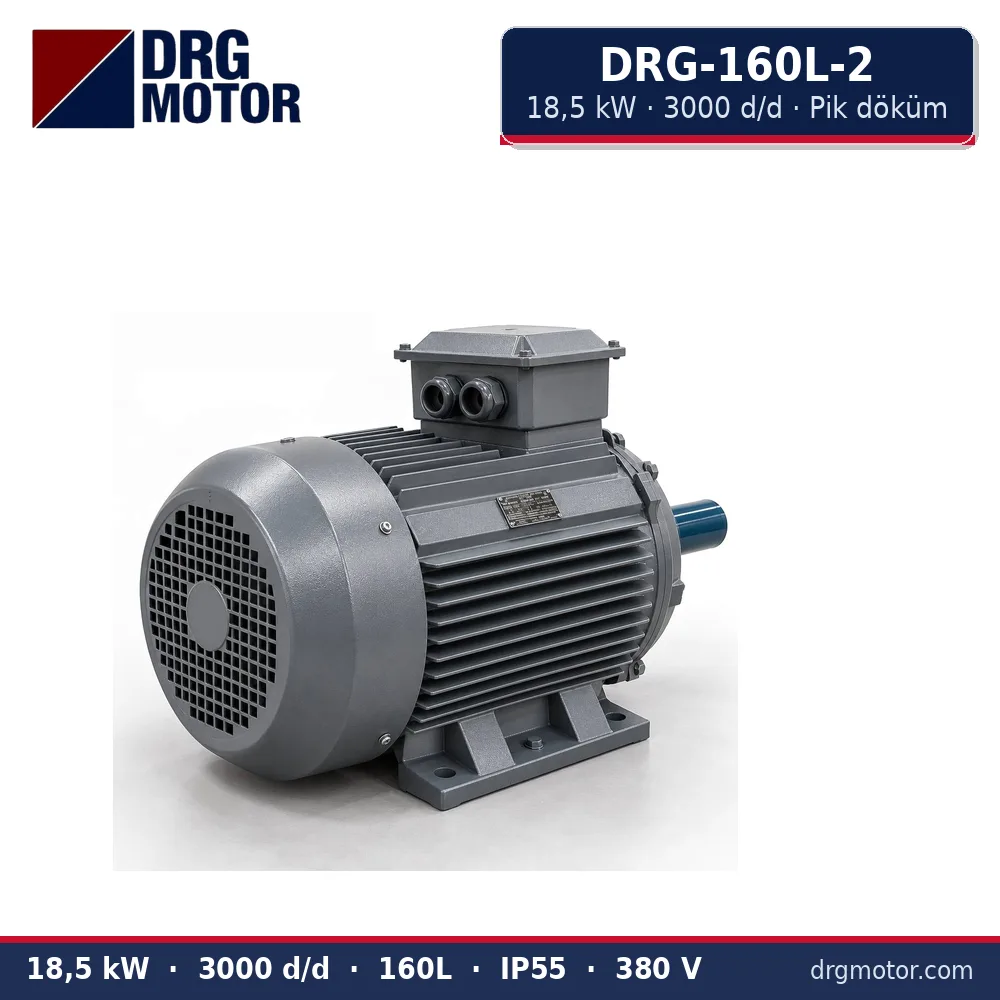 DRG-160L-2 18,5 kW 3000 d/d pik döküm gövdeli trifaze elektrik motoru – DRG Motor