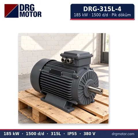 Moteur électrique triphasé DRG-315L-4 185 kW 1500 tr/min carter fonte – DRG Motor