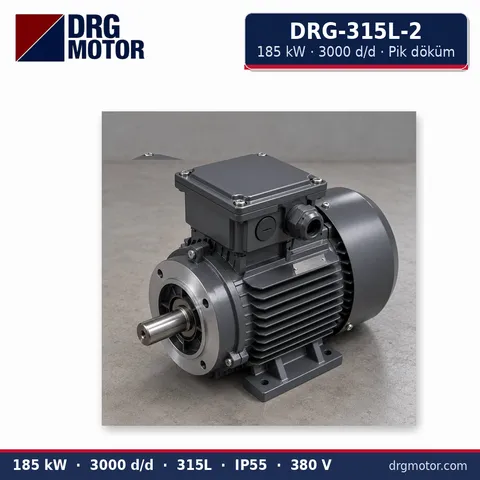 Moteur électrique triphasé DRG-315L-2 185 kW 3000 tr/min carter fonte – DRG Motor