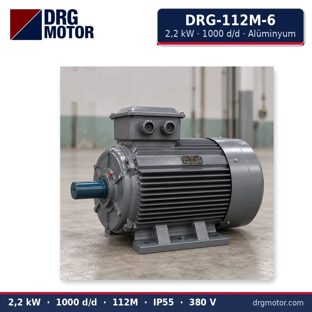 DRG-112M-6 2,2 kW 1000 d/d alüminyum gövdeli trifaze elektrik motoru – DRG Motor