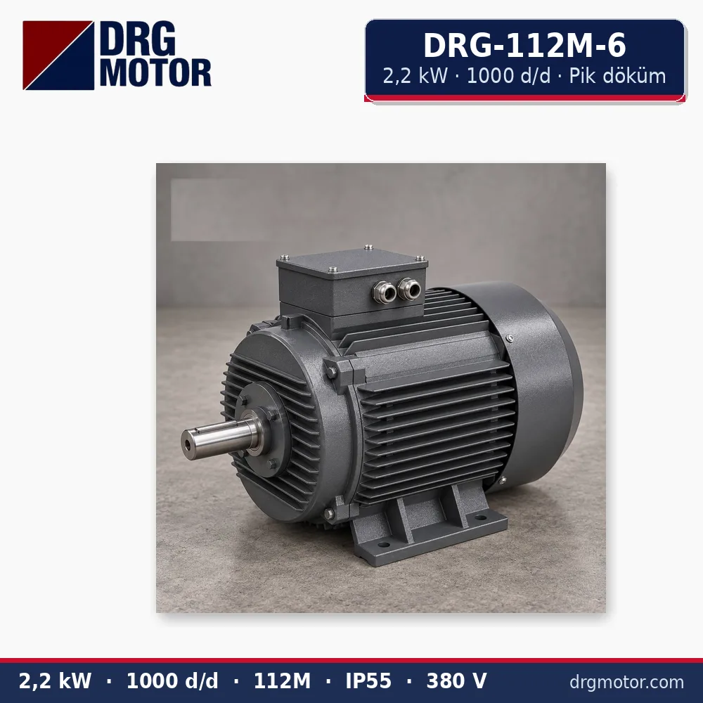 DRG-112M-6 2,2 kW 1000 d/d pik döküm gövdeli trifaze elektrik motoru – DRG Motor