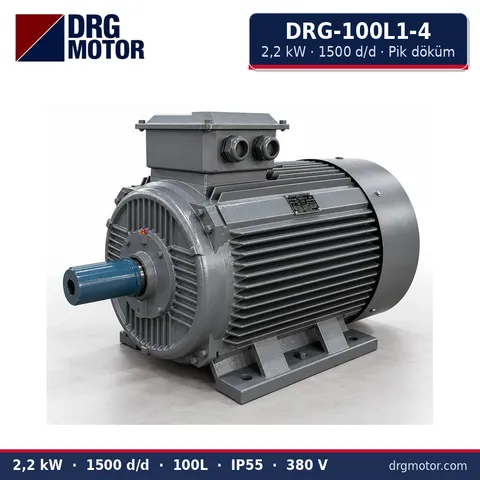 Moteur électrique triphasé DRG-100L1-4 2,2 kW 1500 tr/min carter fonte – DRG Motor