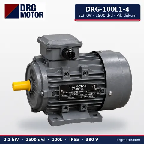 DRG-100L1-4 2.2 kW 1500 rpm cast iron three-phase electric motor – DRG Motor