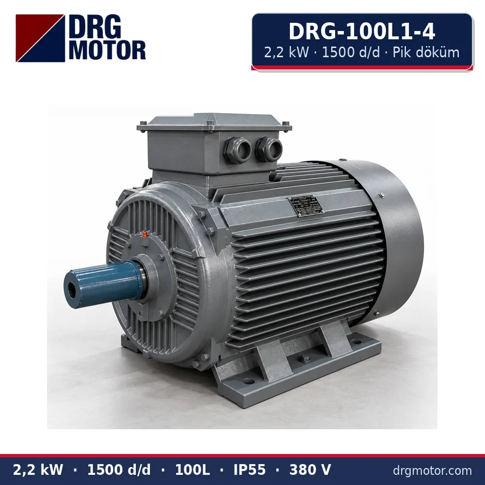 DRG-100L1-4 2,2 kW 1500 d/d pik döküm gövdeli trifaze elektrik motoru – DRG Motor