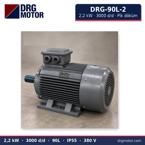 Moteur électrique triphasé DRG-90L-2 2,2 kW 3000 tr/min carter fonte – DRG Motor