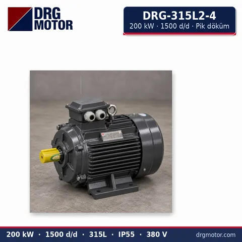 Moteur électrique triphasé DRG-315L2-4 200 kW 1500 tr/min carter fonte – DRG Motor