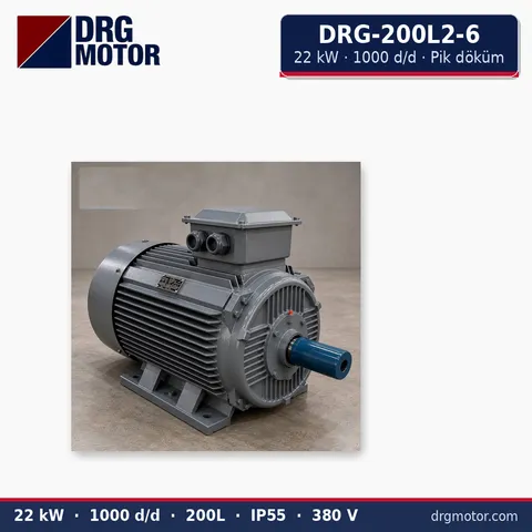 Moteur électrique triphasé DRG-200L2-6 22 kW 1000 tr/min carter fonte – DRG Motor
