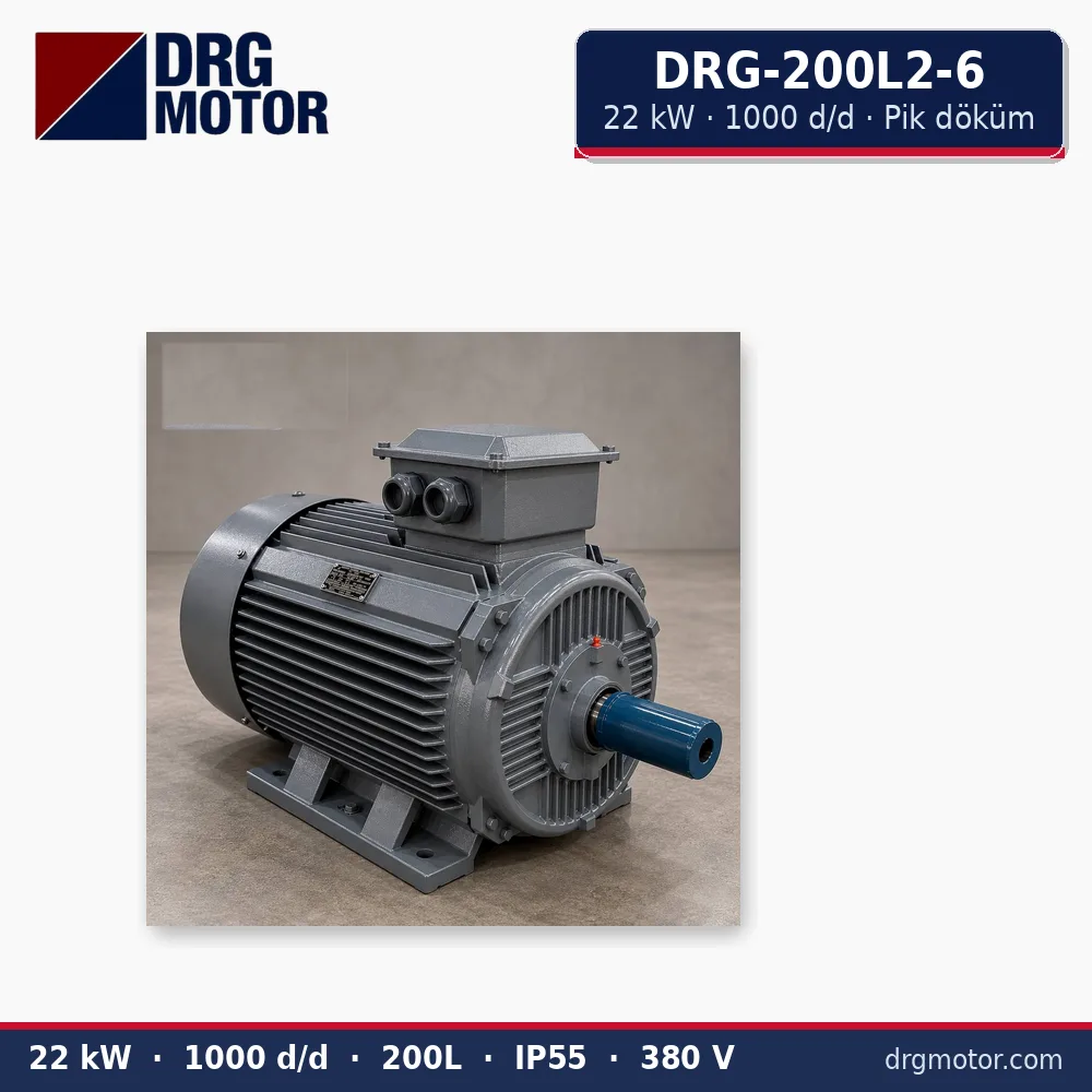 DRG-200L2-6 22 kW 1000 d/d pik döküm gövdeli trifaze elektrik motoru – DRG Motor