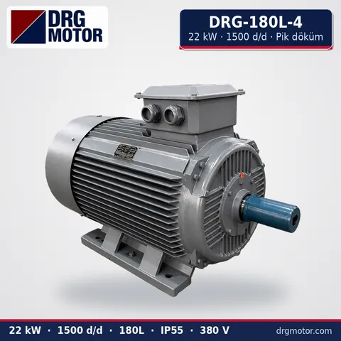 Moteur électrique triphasé DRG-180L-4 22 kW 1500 tr/min carter fonte – DRG Motor