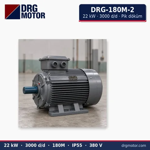 Moteur électrique triphasé DRG-180M-2 22 kW 3000 tr/min carter fonte – DRG Motor