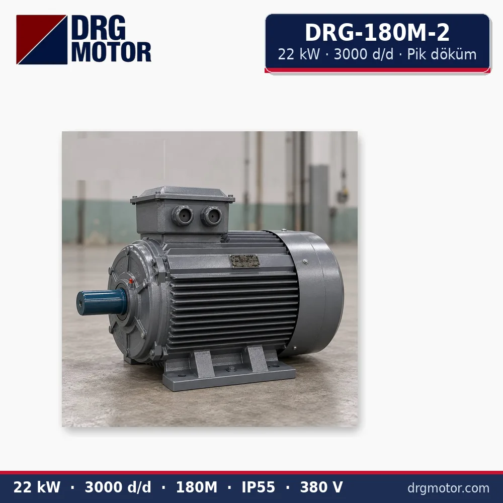 DRG-180M-2 22 kW 3000 d/d pik döküm gövdeli trifaze elektrik motoru – DRG Motor