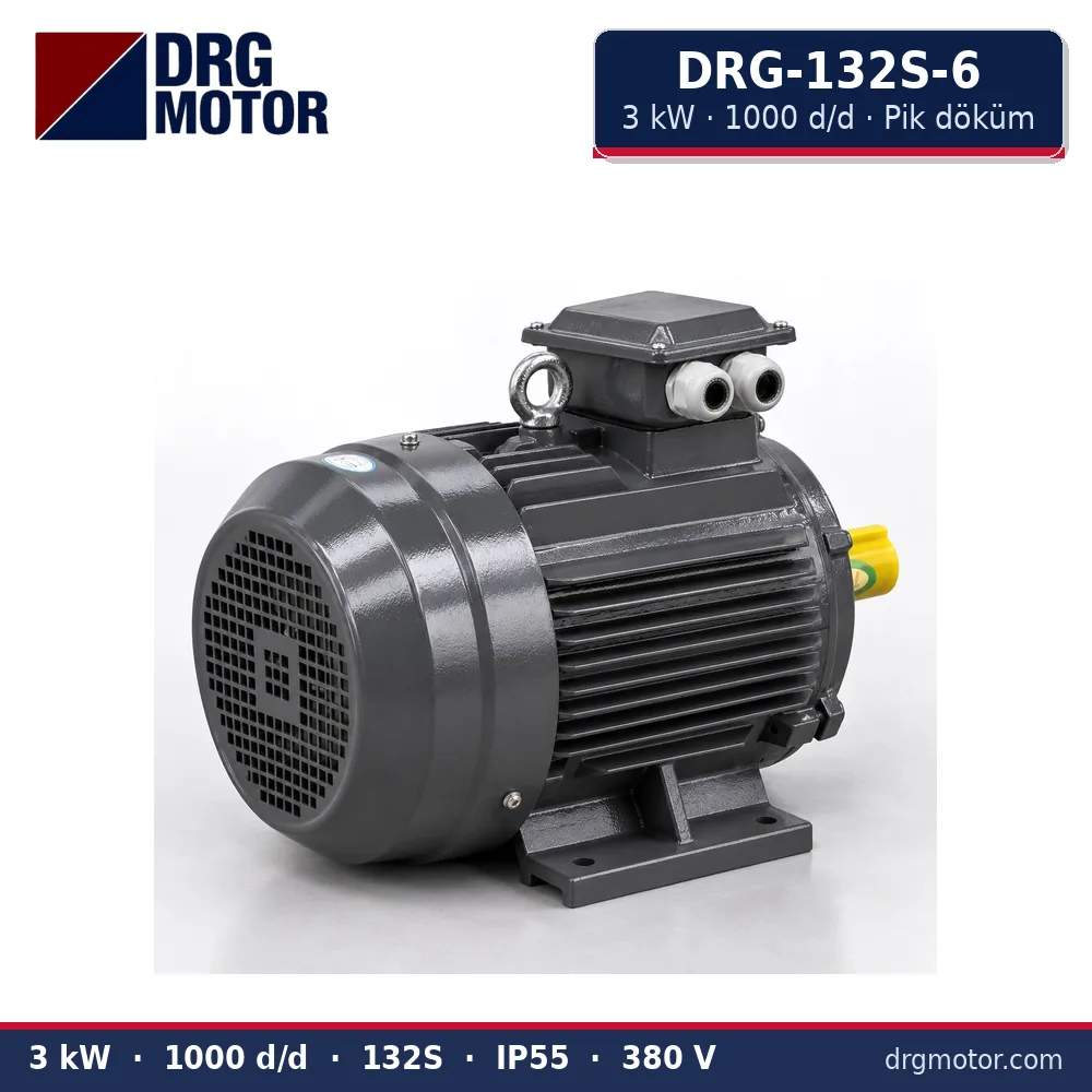 DRG-132S-6 3 kW 1000 d/d pik döküm gövdeli trifaze elektrik motoru – DRG Motor