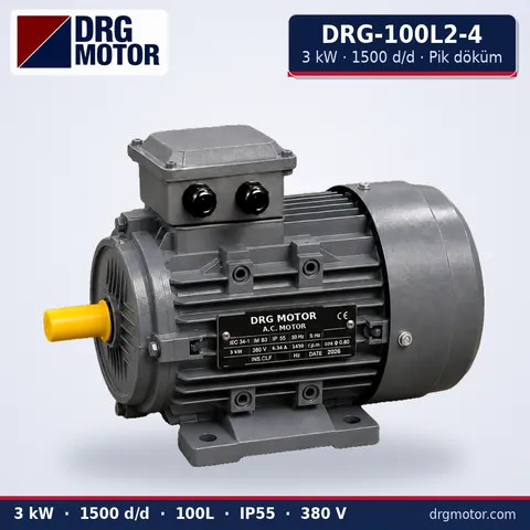 DRG-100L2-4 3 kW 1500 rpm cast iron three-phase electric motor – DRG Motor
