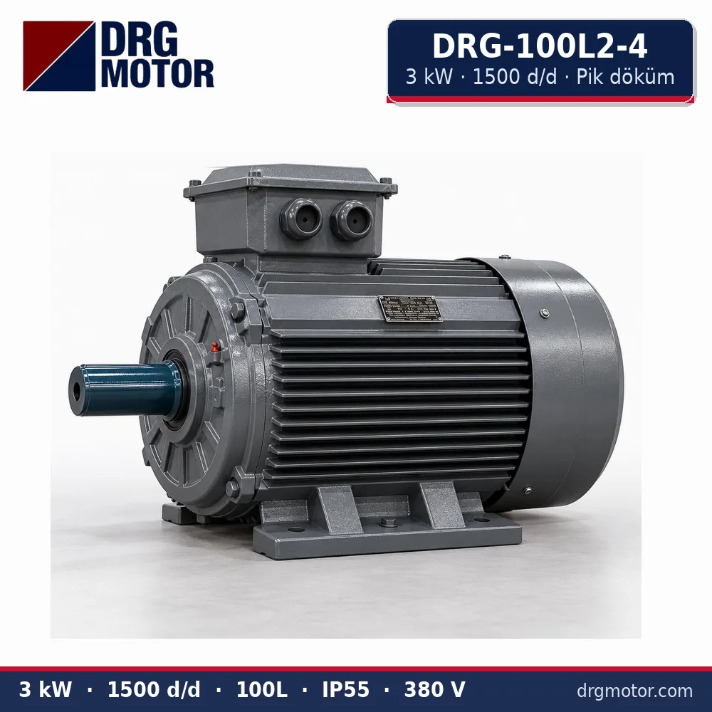 DRG-100L2-4 3 kW 1500 d/d pik döküm gövdeli trifaze elektrik motoru – DRG Motor