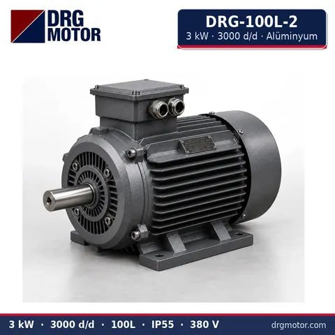 Moteur électrique triphasé DRG-100L-2 3 kW 3000 tr/min carter aluminium – DRG Motor